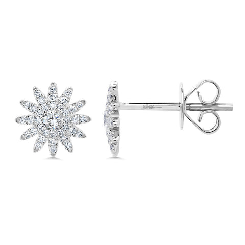 SHY CREATION 14K GOLD & 0.24CT DIAMOND STAR STUDS